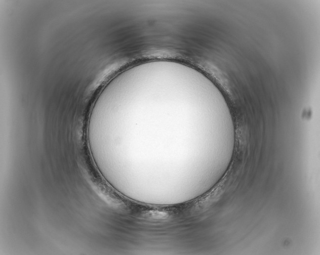 X0000093590159200711051145