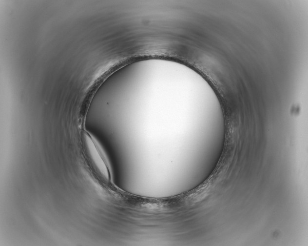 X0000093590160200711051145