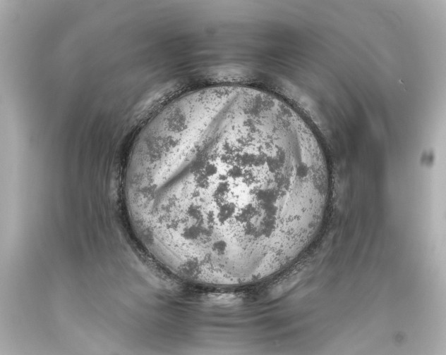 X0000093590161200711051145