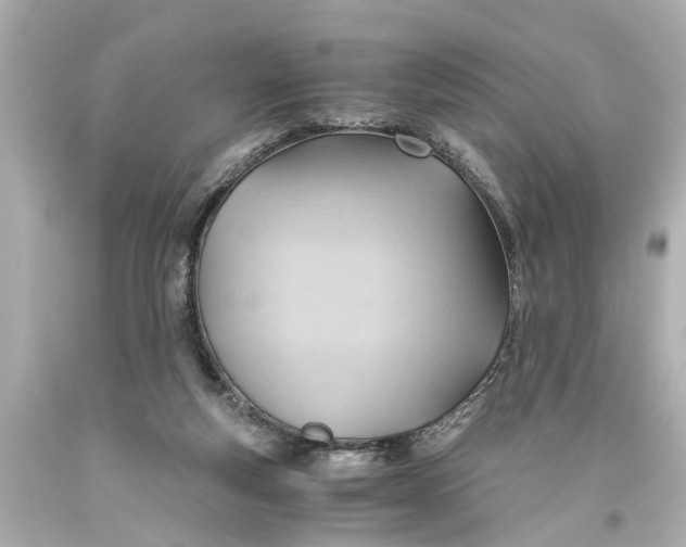 X0000093590163200711051145