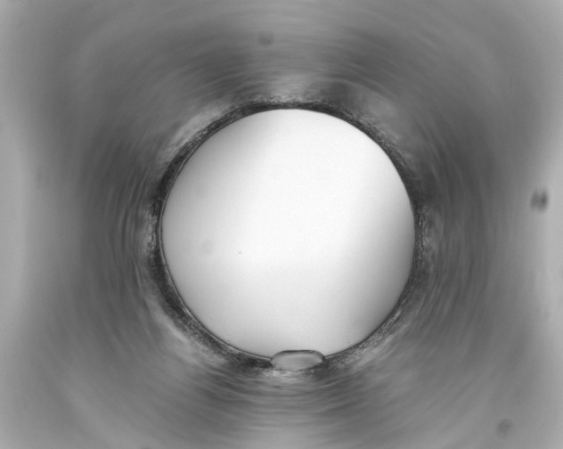 X0000093590164200711051145