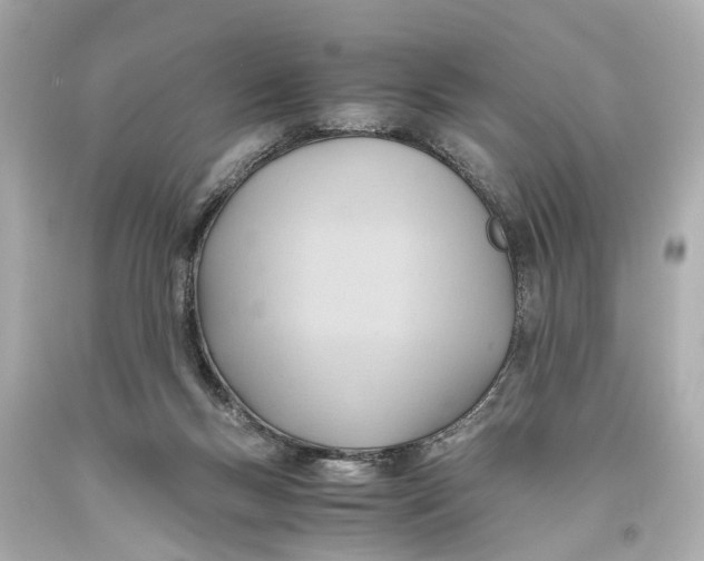 X0000093590167200711051145