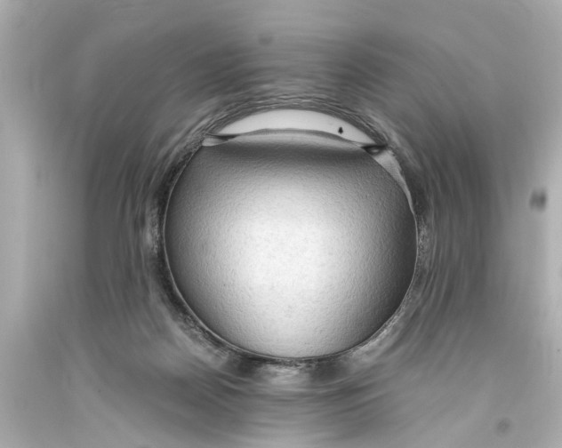 X0000093590170200711051145