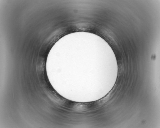 X0000093590174200711051145