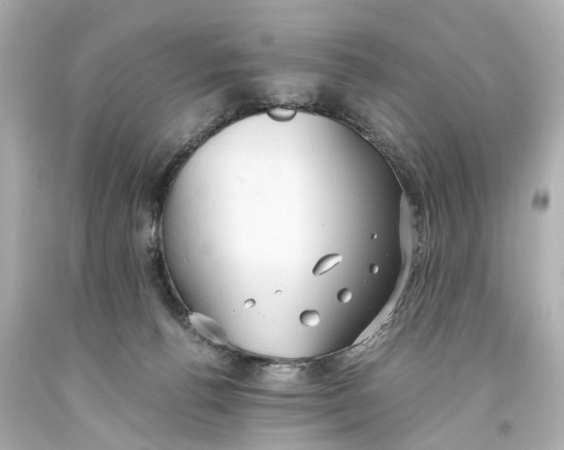 X0000093590176200711051145
