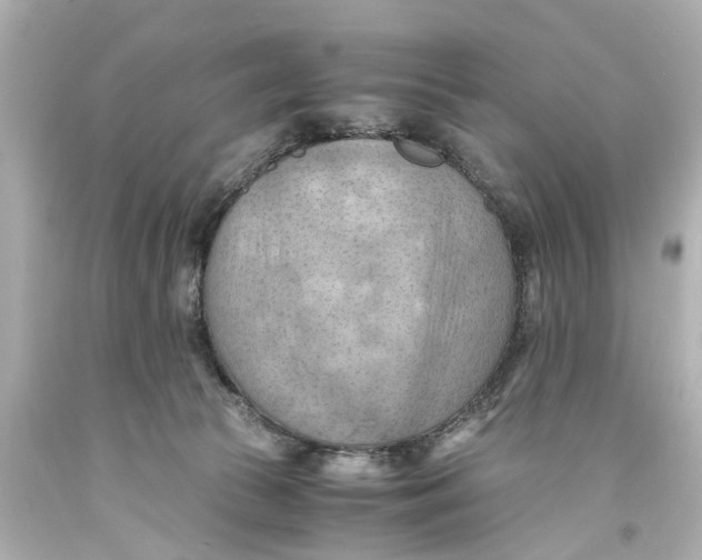 X0000093590177200711051145