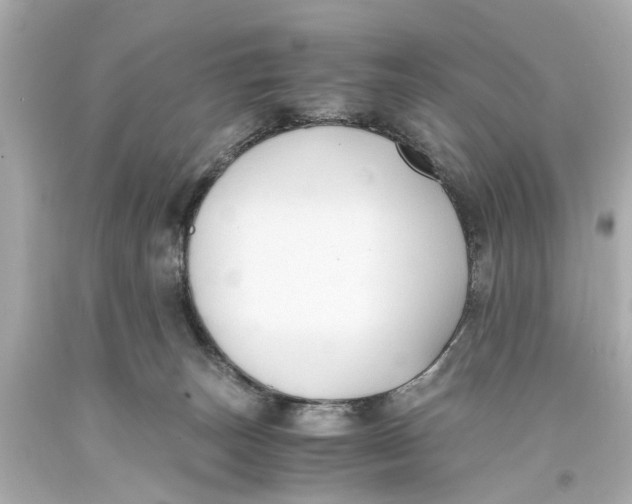 X0000093590179200711051145