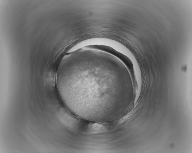 X0000093590180200711051145