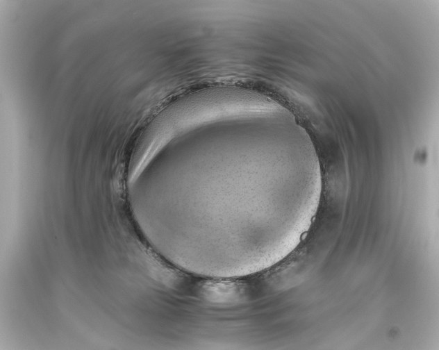 X0000093590181200711051145