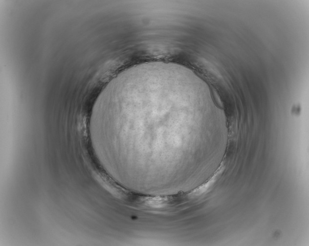 X0000093590182200711051145