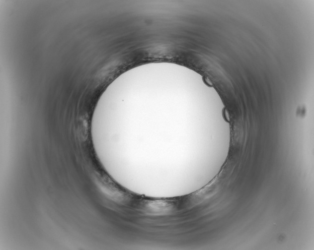 X0000093590183200711051145