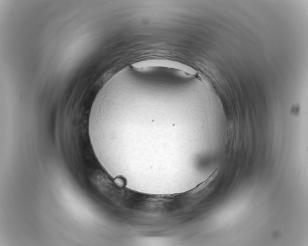 X0000093590190200711051145