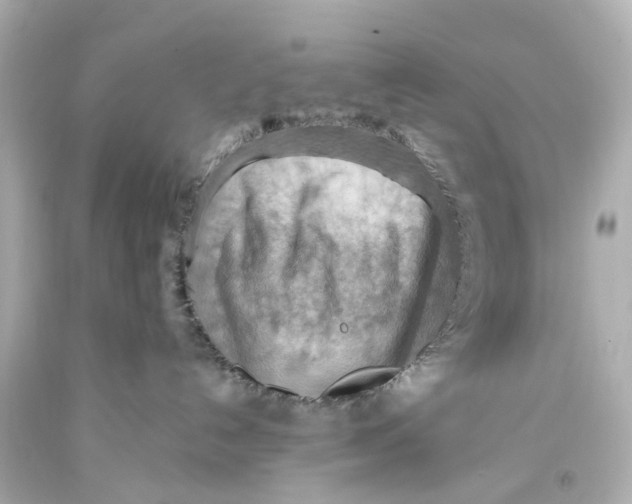 X0000093590192200711051145