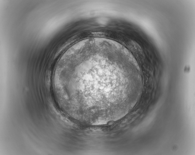 X0000093590194200711051145