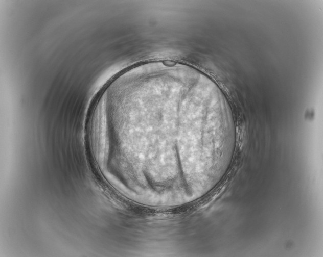 X0000093590196200711051145