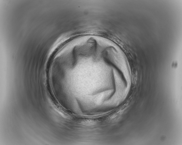 X0000093590198200711051145