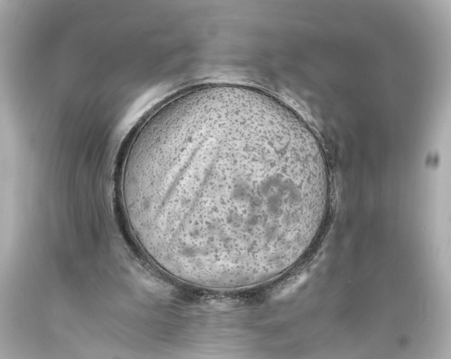 X0000093590199200711051145