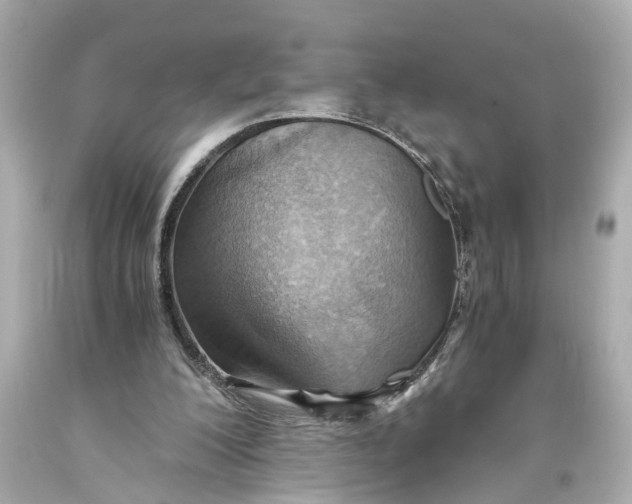 X0000093590200200711051145