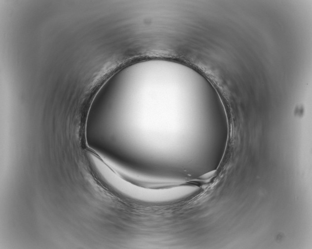 X0000093590201200711051145