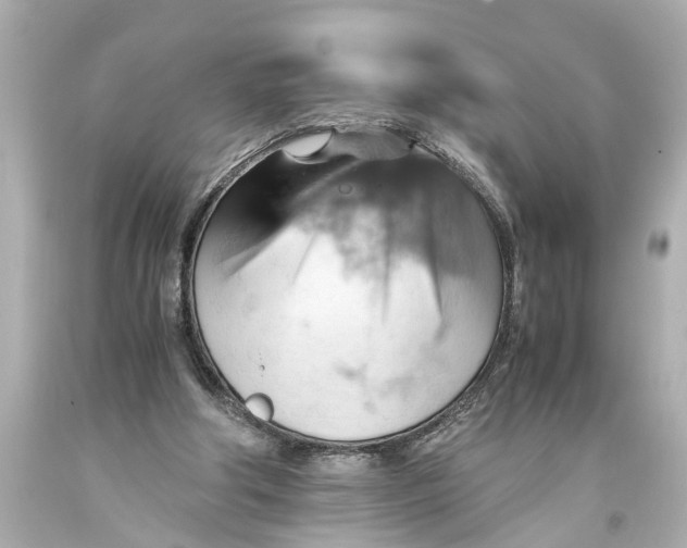 X0000093590202200711051145