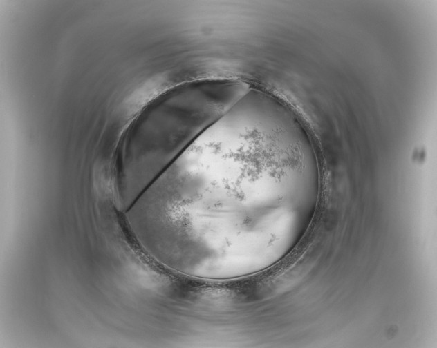 X0000093590203200711051145