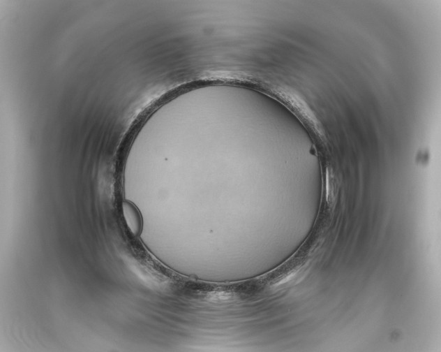 X0000093590204200711051145
