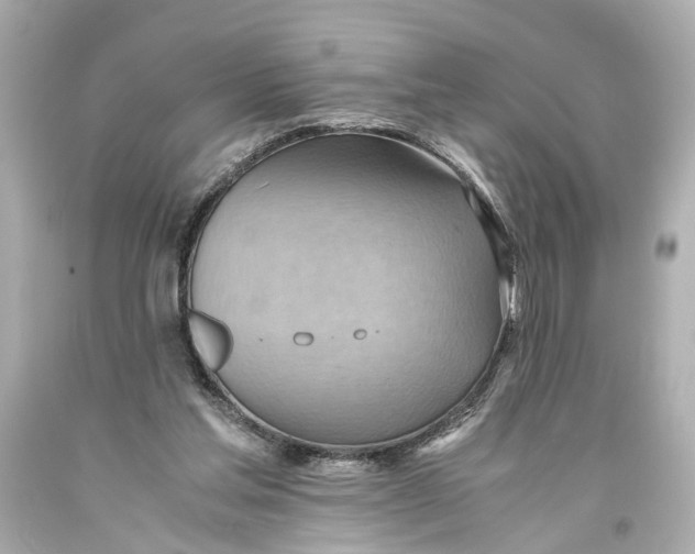 X0000093590205200711051145