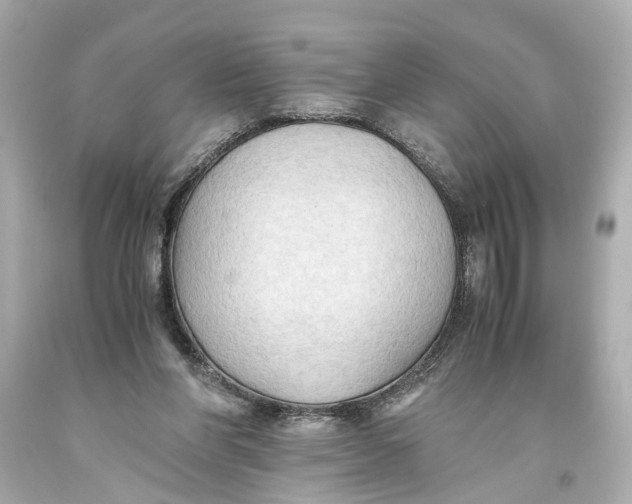 X0000093590206200711051145