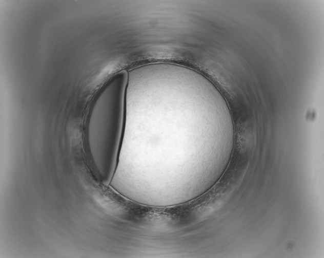 X0000093590207200711051145