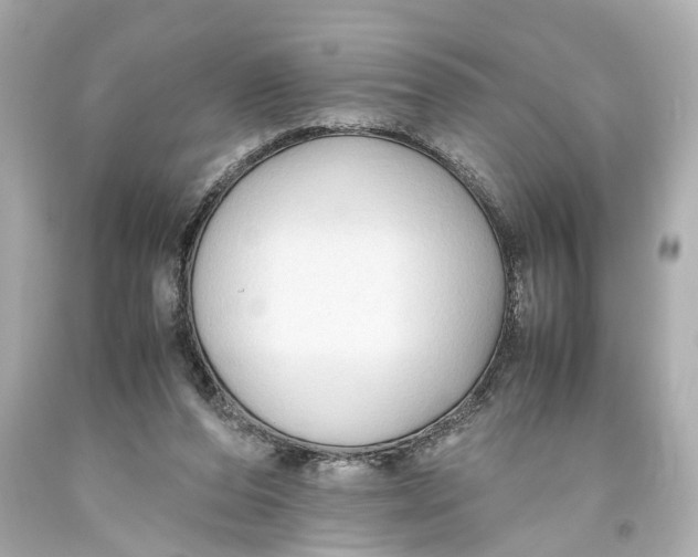 X0000093590208200711051145