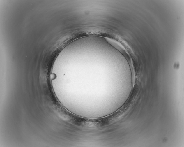 X0000093590209200711051144