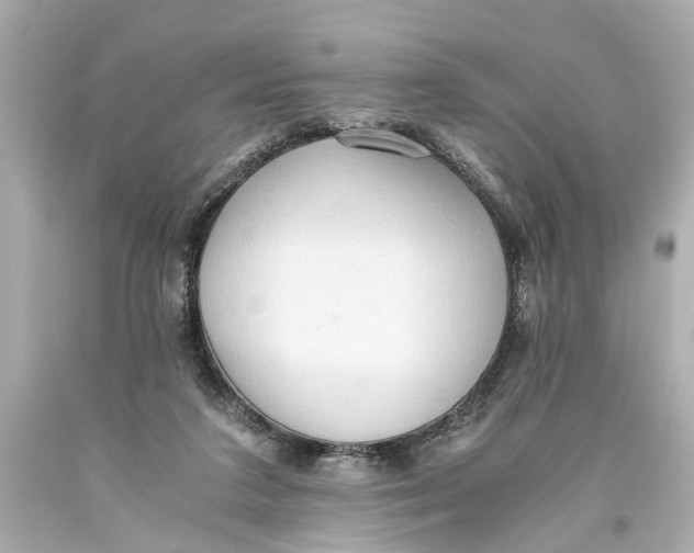 X0000093590211200711051144