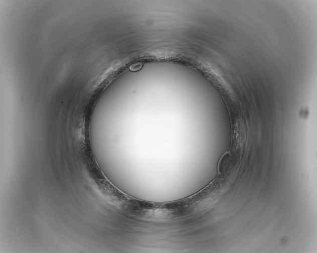 X0000093590212200711051144