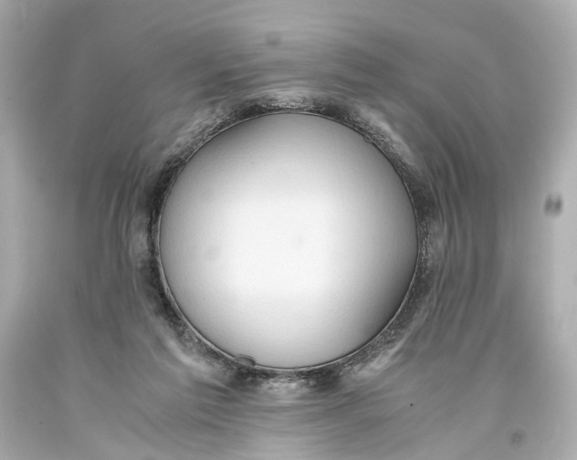X0000093590213200711051144