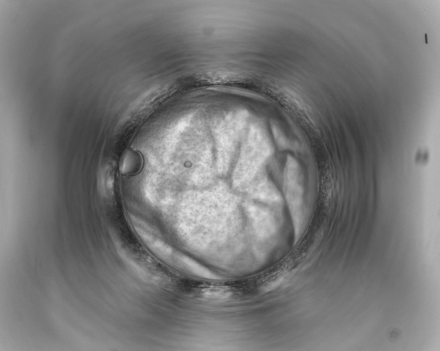 X0000093590214200711051144