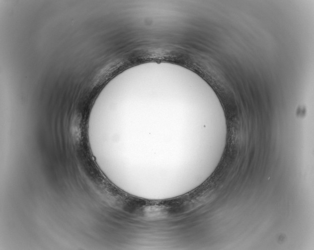 X0000093590216200711051144