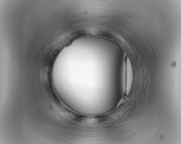 X0000093590217200711051144