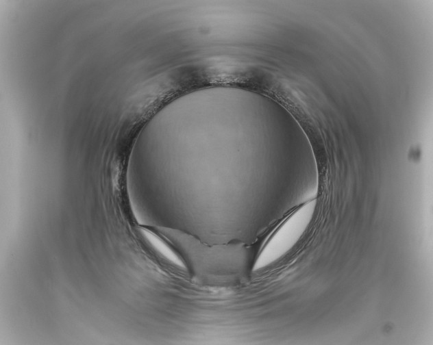 X0000093590219200711051144