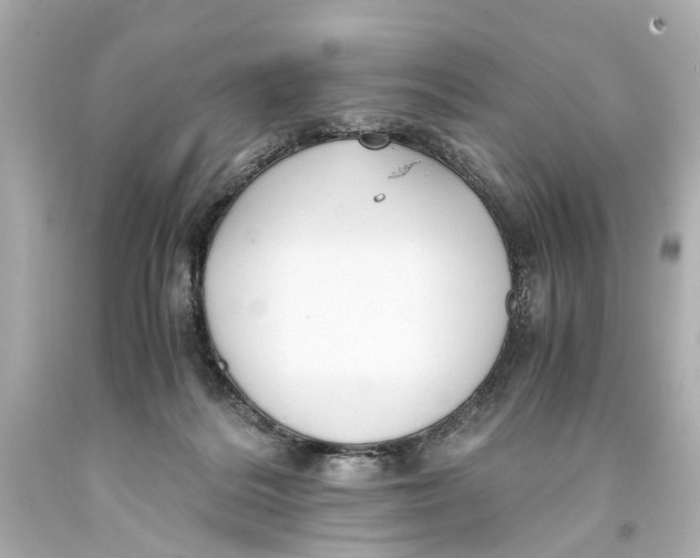 X0000093590220200711051144
