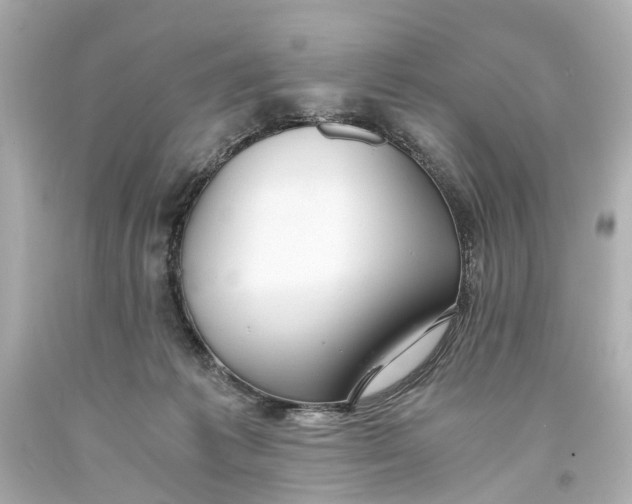 X0000093590221200711051144