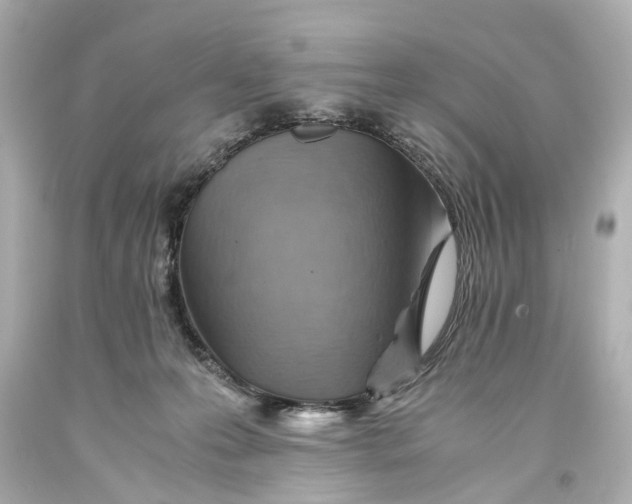 X0000093590223200711051144
