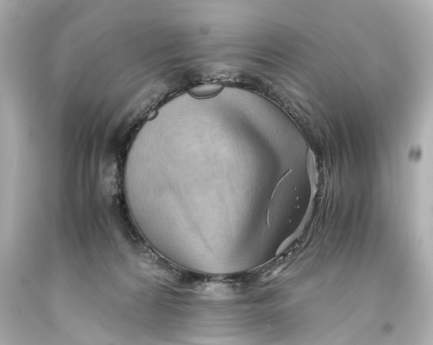 X0000093590224200711051144