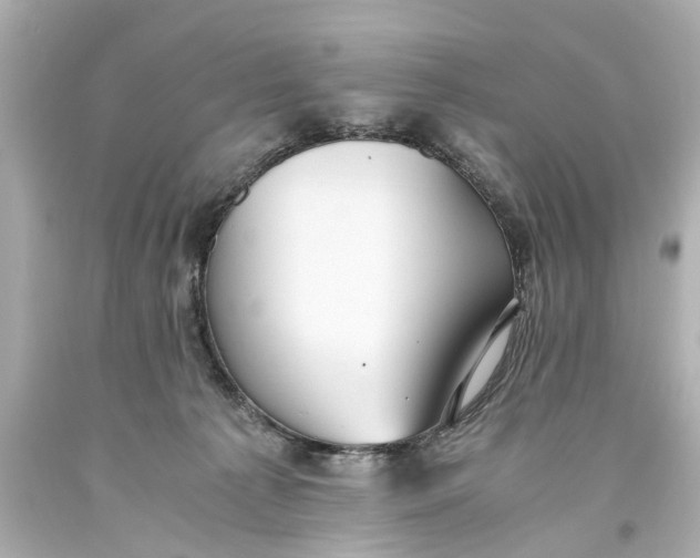 X0000093590225200711051144