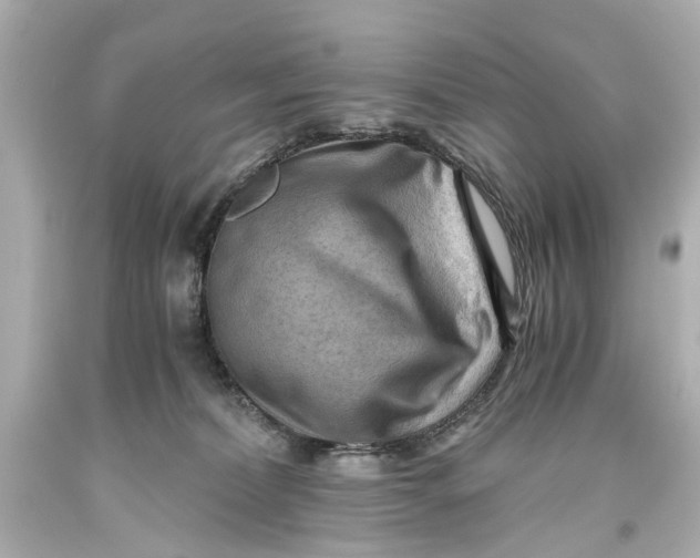 X0000093590228200711051144