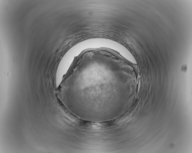 X0000093590229200711051144