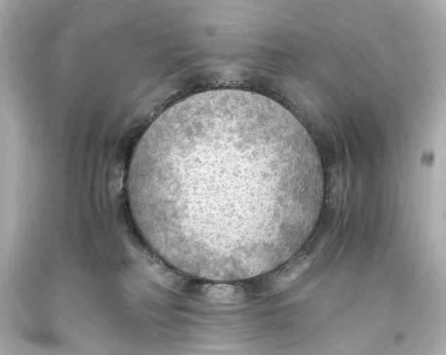 X0000093590230200711051144