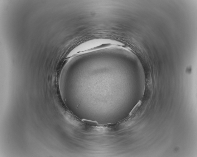 X0000093590233200711051144