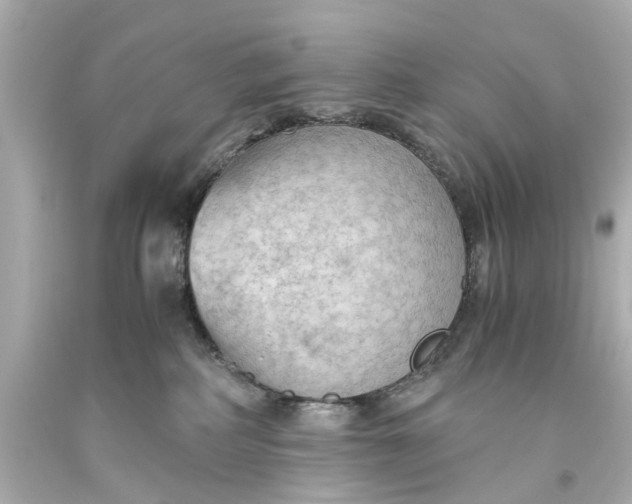 X0000093590234200711051144