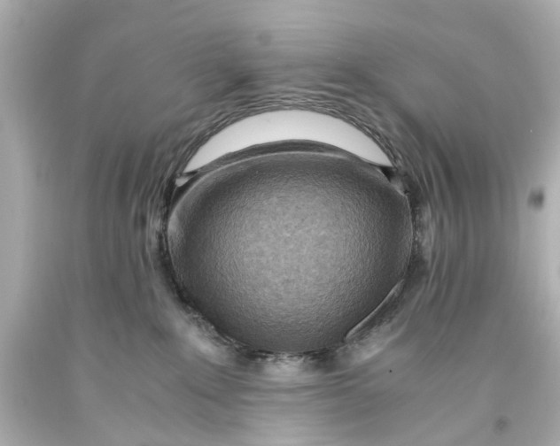 X0000093590235200711051144
