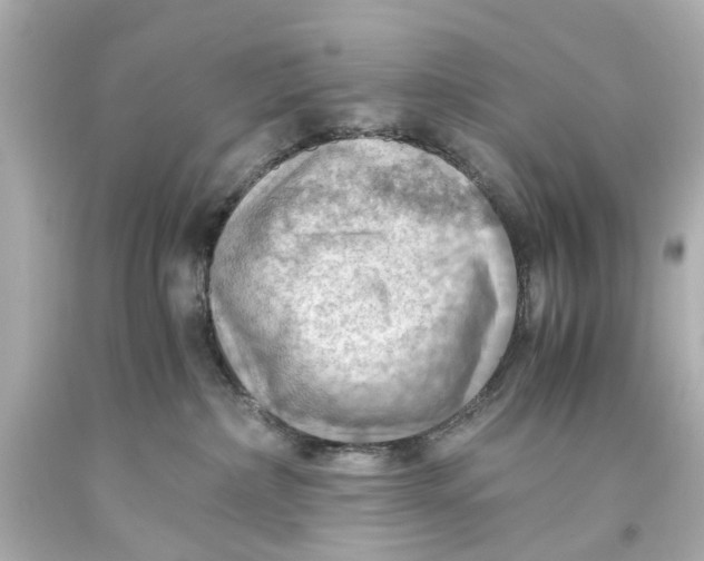 X0000093590236200711051144